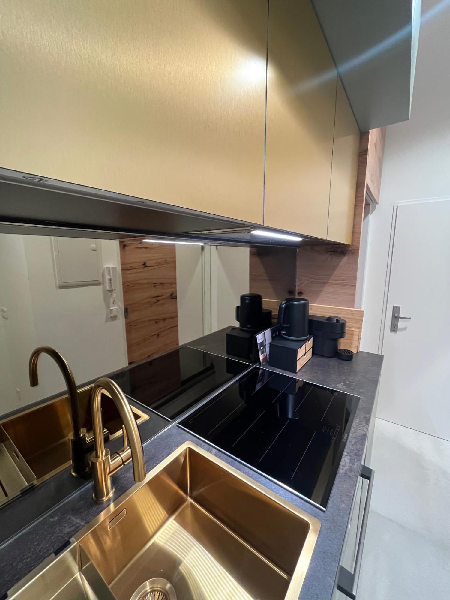 Luxurious One Room Apartment Near Schoenbrunn Palace فيينا المظهر الخارجي الصورة